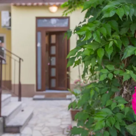Agnese2 רוביני